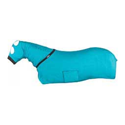 Horse Slinky Full Body Horse Sheet Teal - Item # 48535