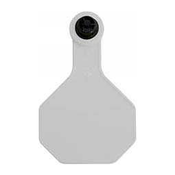 Tamperproof Medium Blank Cattle ID Ear Tags White - Item # 48540