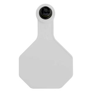 Tamperproof Medium Blank Cattle ID Ear Tags White - Item # 48540