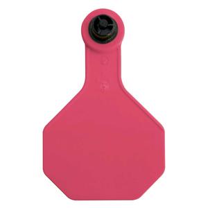 Tamperproof Medium Blank Cattle ID Ear Tags Hot Pink - Item # 48540