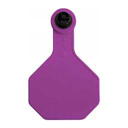 Tamperproof Medium Blank Cattle ID Ear Tags Purple - Item # 48540