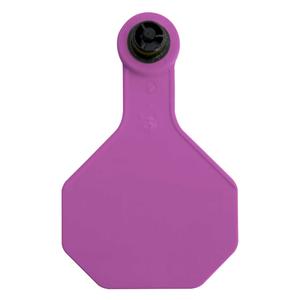 Tamperproof Medium Blank Cattle ID Ear Tags Purple - Item # 48540