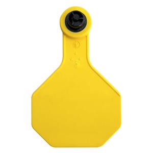Tamperproof Medium Blank Cattle ID Ear Tags Yellow - Item # 48540