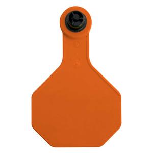 Tamperproof Medium Blank Cattle ID Ear Tags Orange - Item # 48540