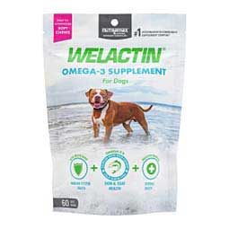 Welactin Omega-3 Supplement Soft Chews for Dogs 60 ct - Item # 48637