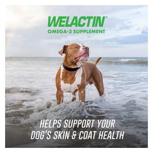 Welactin Omega-3 Supplement Soft Chews for Dogs 60 ct - Item # 48637