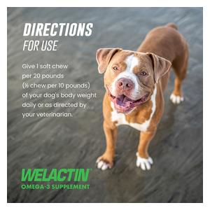 Welactin Omega-3 Supplement Soft Chews for Dogs 60 ct - Item # 48637