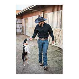 Wrinkle-Free Solid Mens Shirt Black - Item # 48664