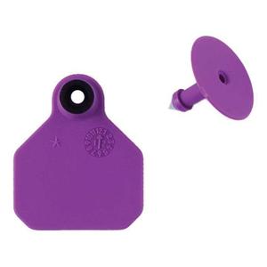 Blank Mini Livestock ID Ear Tags Purple - Item # 48673