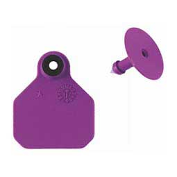 Blank Mini Livestock ID Ear Tags Purple - Item # 48673