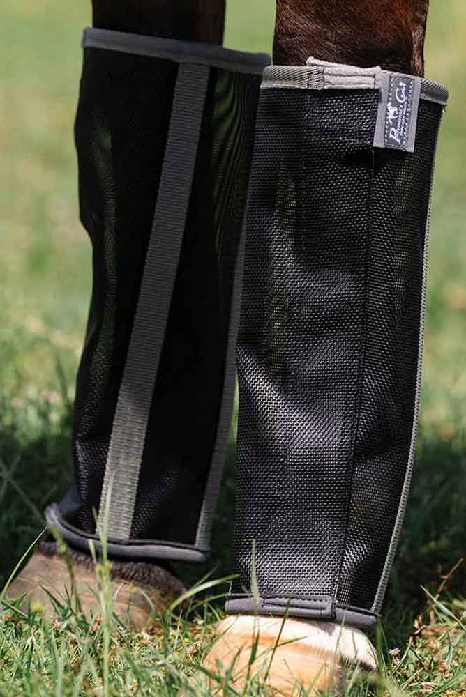 Valley Vet - Deluxe Fly Boots for Horses Professional's Choice - Fly ...