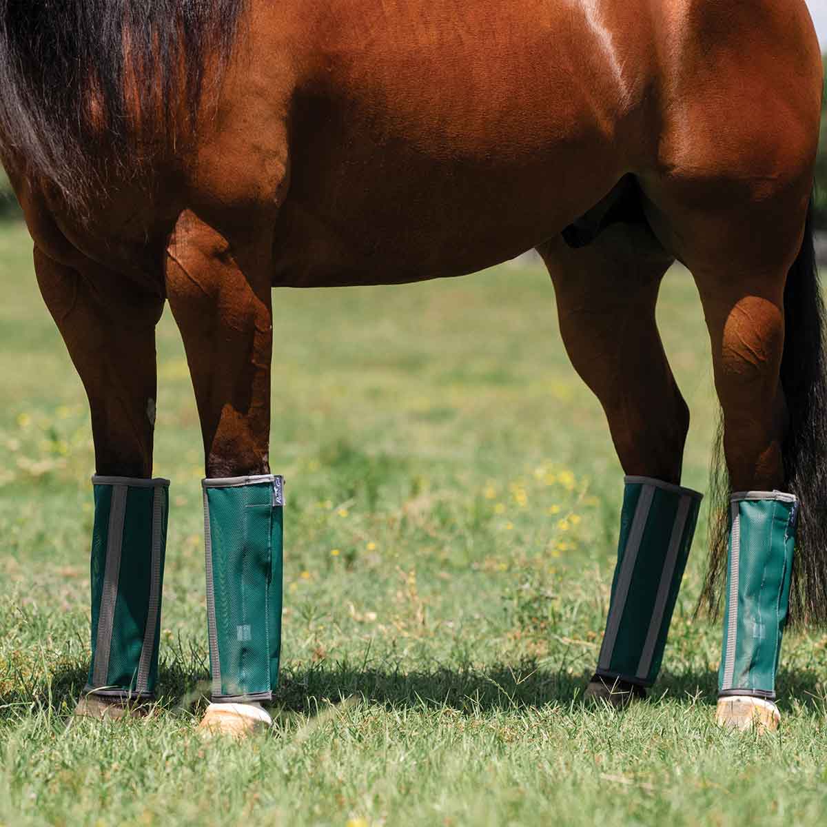 Valley Vet - Deluxe Fly Boots for Horses Professional's Choice - Fly ...