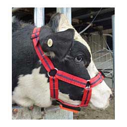 Chinmark Teaser/Bull Harness with Fluoro Pink Crayon Red/Navy - Item # 48783