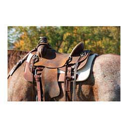 Synergy Contoured Steam Pressed Wool Felt Horse Saddle Pad Natural 31X32 - Item # 48992