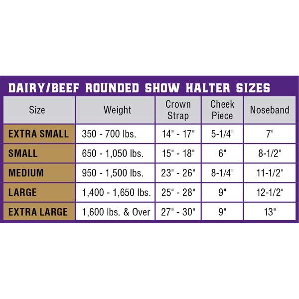 Derby Round Leather Cattle Dairy/Beef Show Halter with Lead Horsewear Sports & O Derby Round Leather Cattle Dairy/Beef Show Halter with Lead Horsewear Sports & O