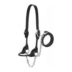 Dairy/Beef Rounded Show Halter Black - Item # 49006
