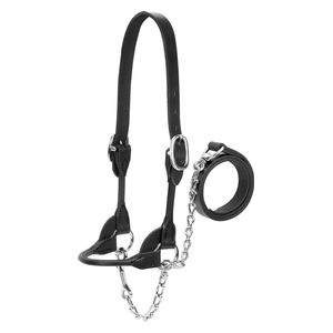 Dairy/Beef Rounded Show Halter Black - Item # 49006