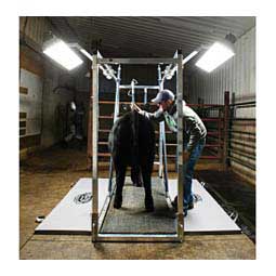 Chute Light 4 ft - Item # 49008