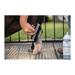 Mini Soft Bristle Wide Range Brush for Livestock 6 in - Item # 49019