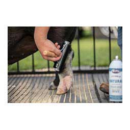 Mini Soft Bristle Wide Range Brush for Livestock 6'' - Item # 49019