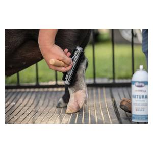 Mini Soft Bristle Wide Range Brush for Livestock 6 in - Item # 49019