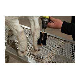 Mini Horse Hair Roto Brush for Livestock 9 in - Item # 49020