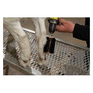 Mini Horse Hair Roto Brush for Livestock 9 in - Item # 49020