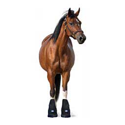 Ice Horse Laminitis Pro Horse Boot Black S (1 ct) - Item # 49057