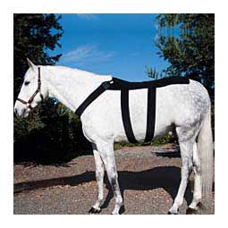 Ice Horse Back Blanket Black - Item # 49060