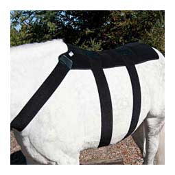 Ice Horse Back Blanket Black - Item # 49060