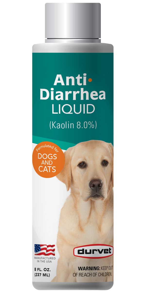 Over the counter diarrhea medicine for dogs hotsell