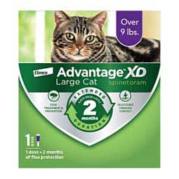Advantage XD for Cats 1 dose (large cat over 9 lbs) - Item # 49114