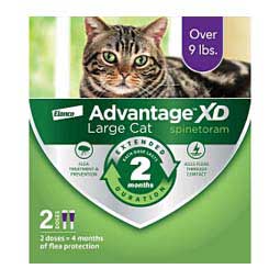 Advantage XD for Cats 2 doses (large cat over 9 lbs) - Item # 49115
