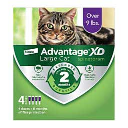 Advantage XD for Cats 4 doses (large cat over 9 lbs) - Item # 49116