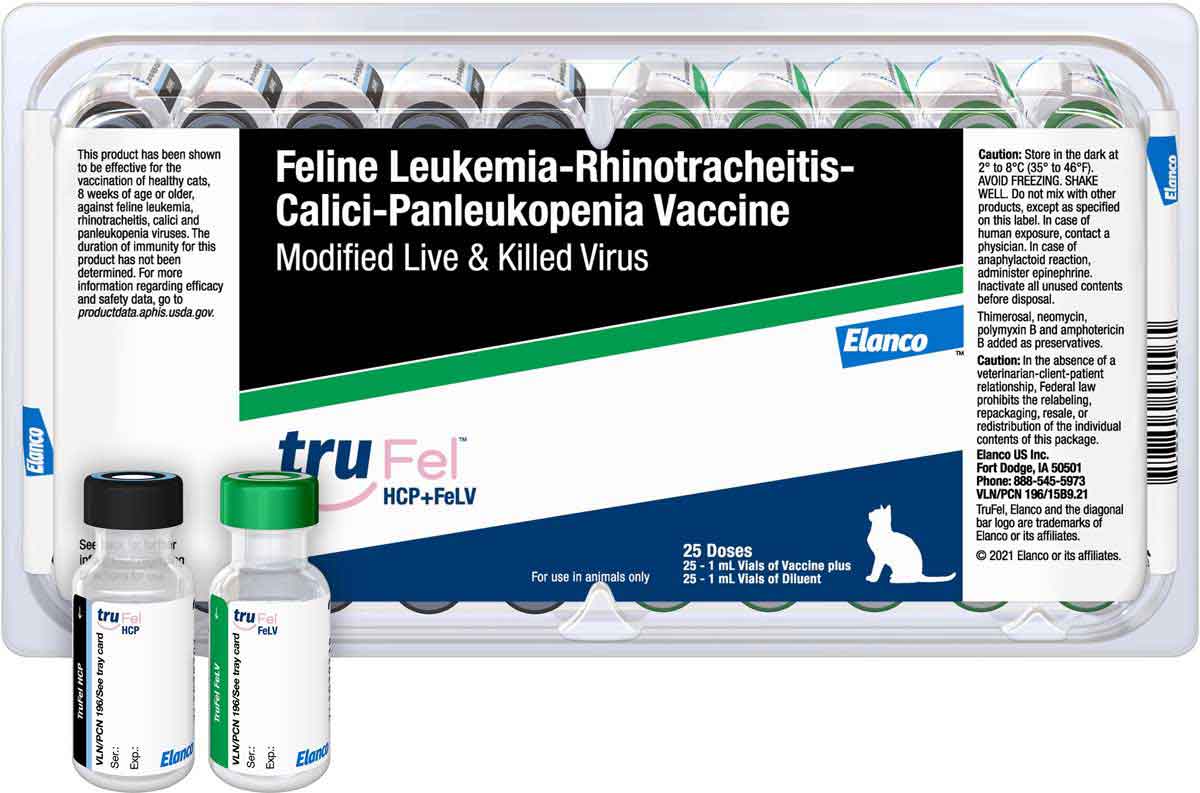 TruFel HCP FeLV Cat Vaccine Elanco Animal Health Cat Vaccines trufel-hcp-felv-cat-vaccine-elanco-animal-health-cat-vaccines