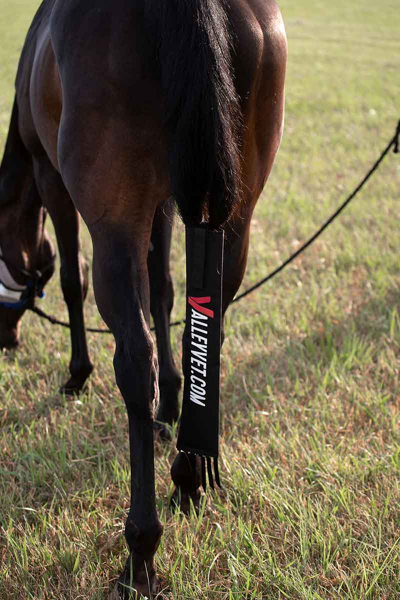 Valley Vet Horse Tail Bag with Fringe Valley Vet Supply