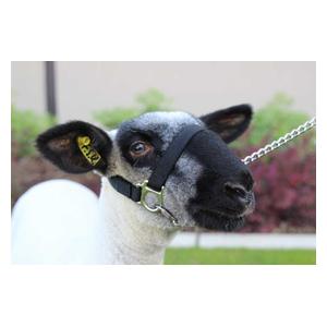 Nylon Sheep Halter Black - Item # 49327
