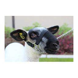 Nylon Sheep Halter Black - Item # 49327