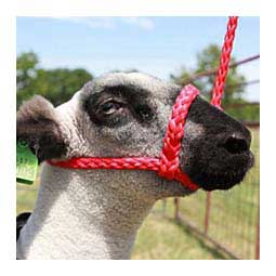 Soft Braid Sheep/Goat Halter Red - Item # 49328