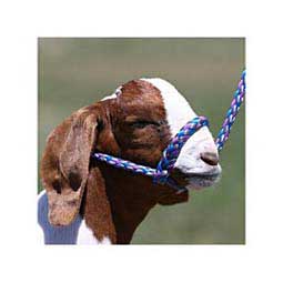 Soft Braid Sheep/Goat Halter Purple - Item # 49328