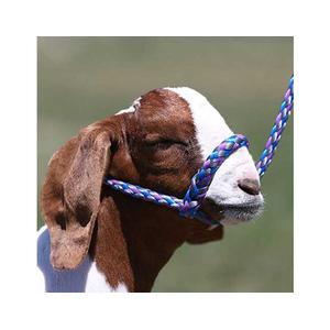 Soft Braid Sheep/Goat Halter Purple - Item # 49328
