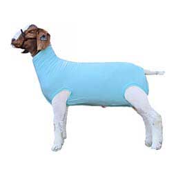 Performance Cotton Goat Tube Turquoise - Item # 49331