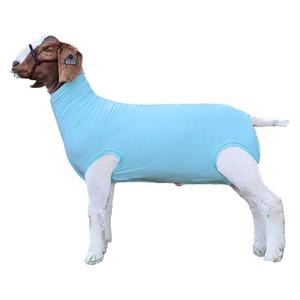 Performance Cotton Goat Tube Turquoise - Item # 49331