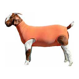 Performance Cotton Goat Tube Orange - Item # 49331