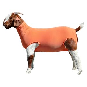 Performance Cotton Goat Tube Orange - Item # 49331