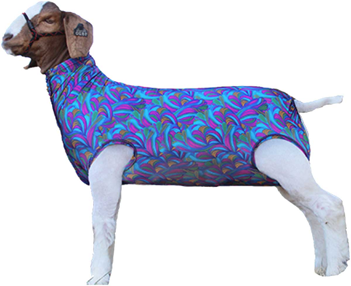 Lamb Tube For Show Sheep & Lamb - Show Livestock Supplies