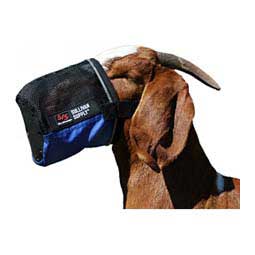 Tough Tech Muzzle for Goats and Sheep Blue - Item # 49334