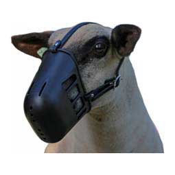 Heavy Plastic Sheep Muzzle Black - Item # 49335