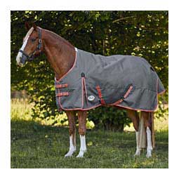 Comfitec Essential Plus Medium Standard Neck Turnout Horse Blanket Gray/Orange/Blue - Item # 49518