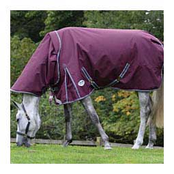 Comfitec Plus Dynamic II Medium Detach-A-Neck Turnout Horse Blanket Maroon/Gray/White - Item # 49535